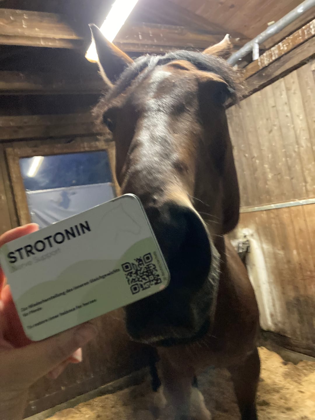 Customer photo review of Strotonin Nerve Support
