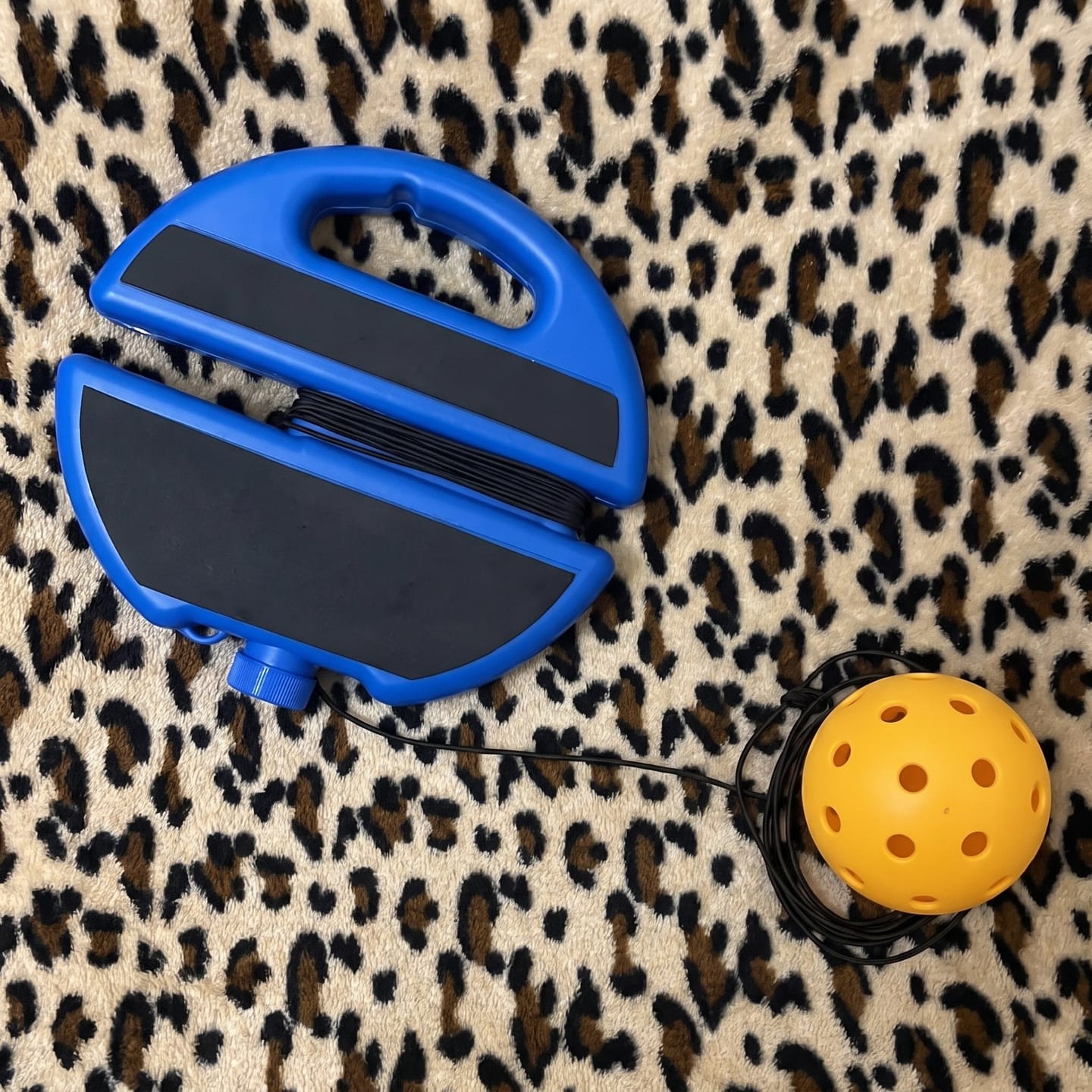 Customer photo review of Pickleballone™ Solo Trainer