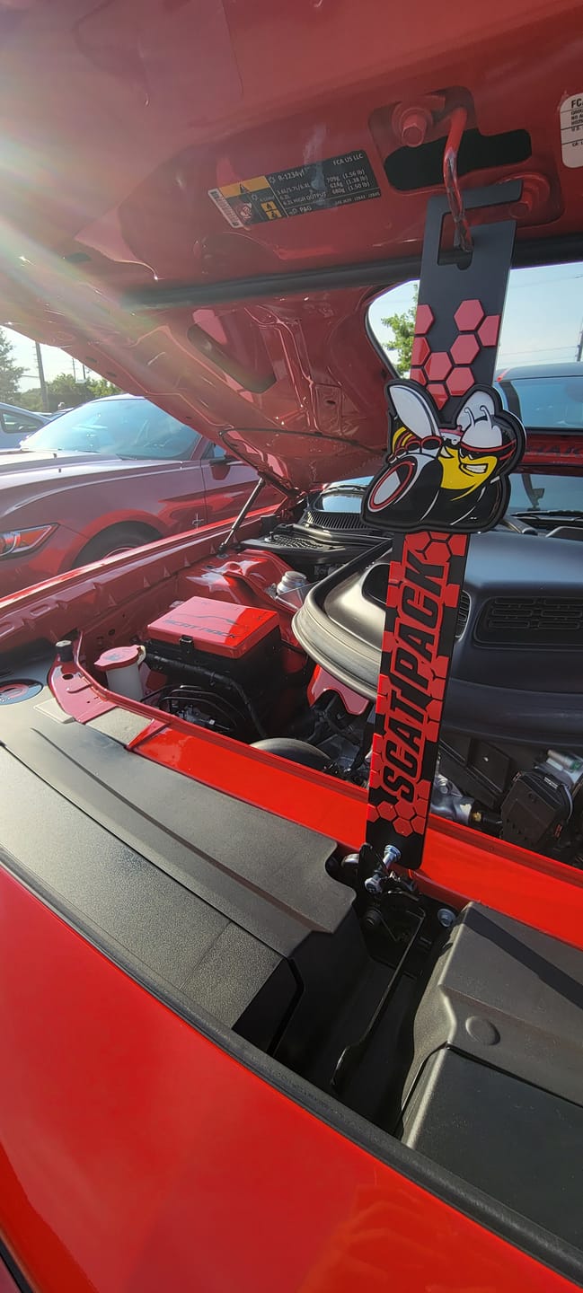 Customer photo review of SCAT PACK Show Prop