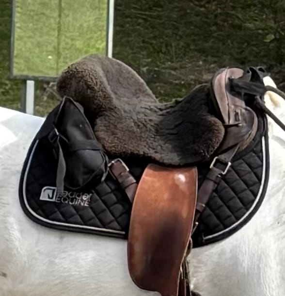 Customer photo review of LE Performance Jump Saddle Pad with Shims