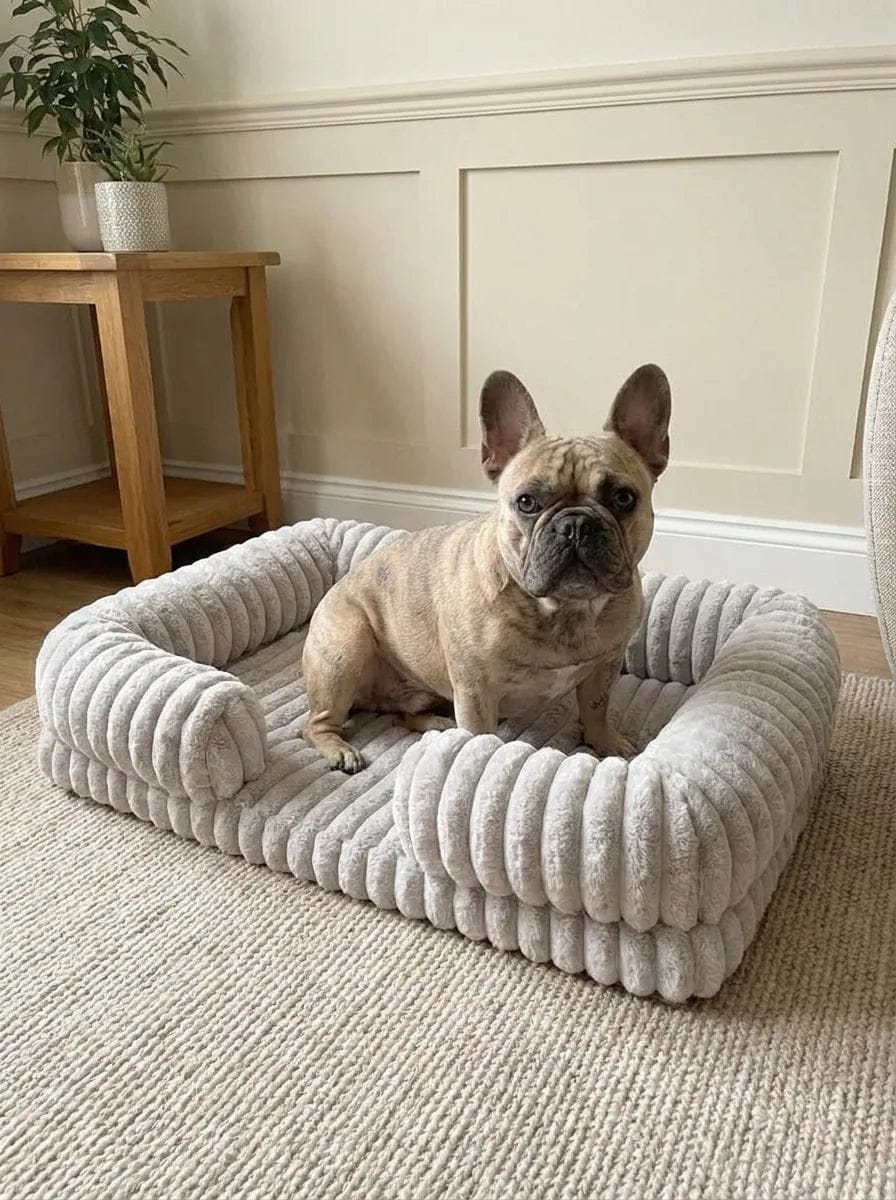 Customer photo review of Panier orthopédique pour chien