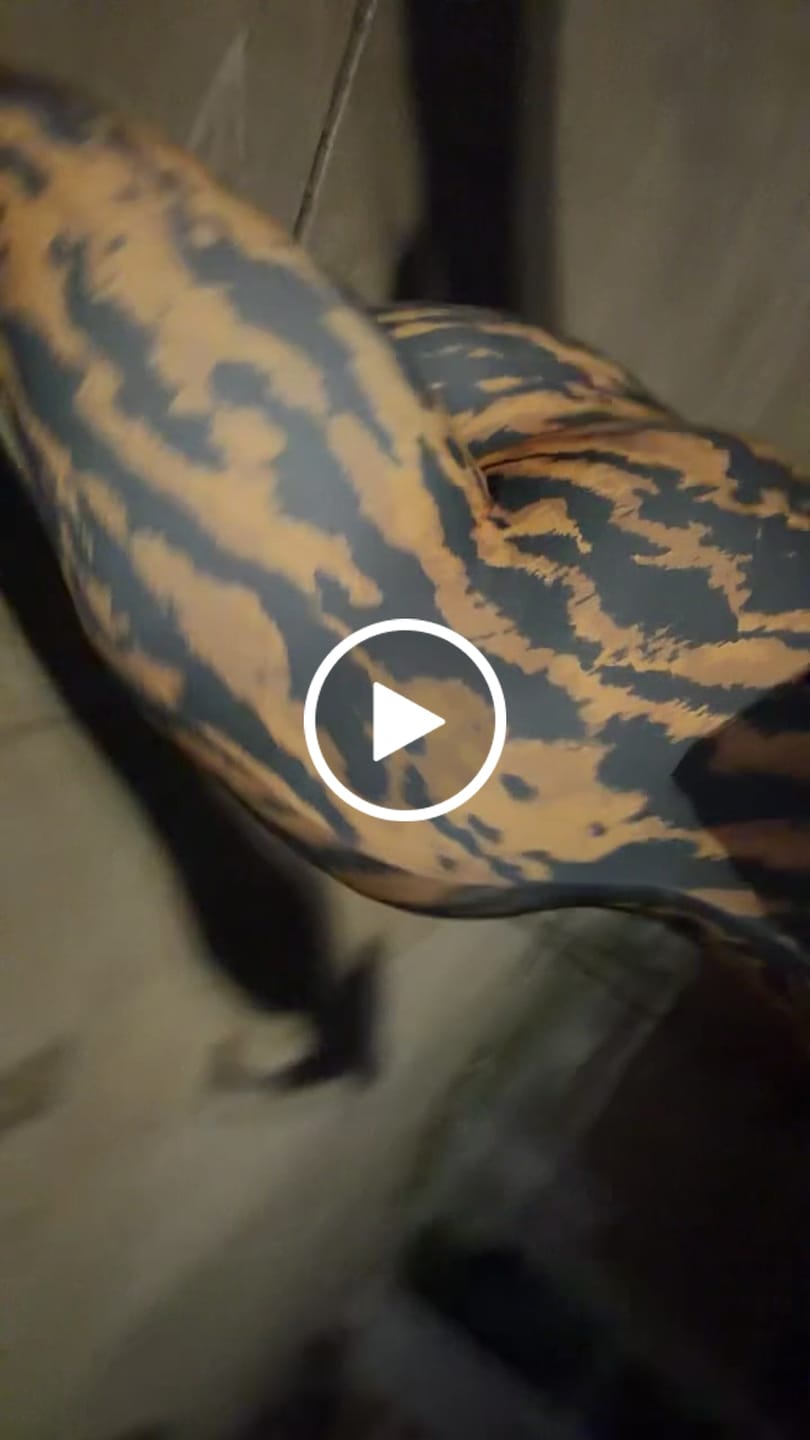 Customer video review of Kathy Capri