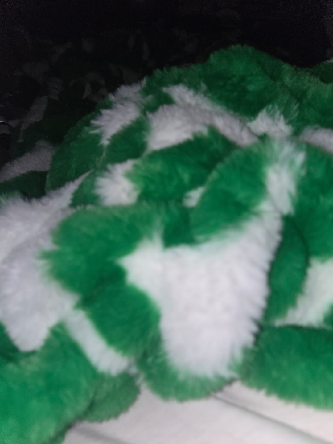 Customer photo review of University of Oregon Ducks Blanket - Hugs
