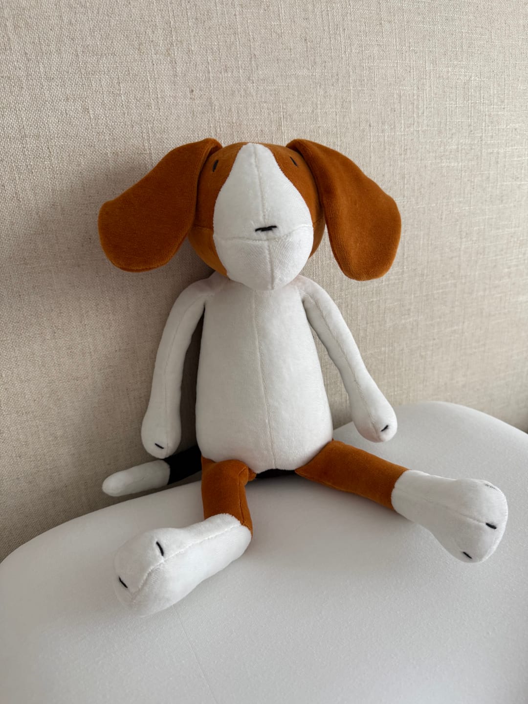 Customer photo review of BARRY LE BEAGLE - L