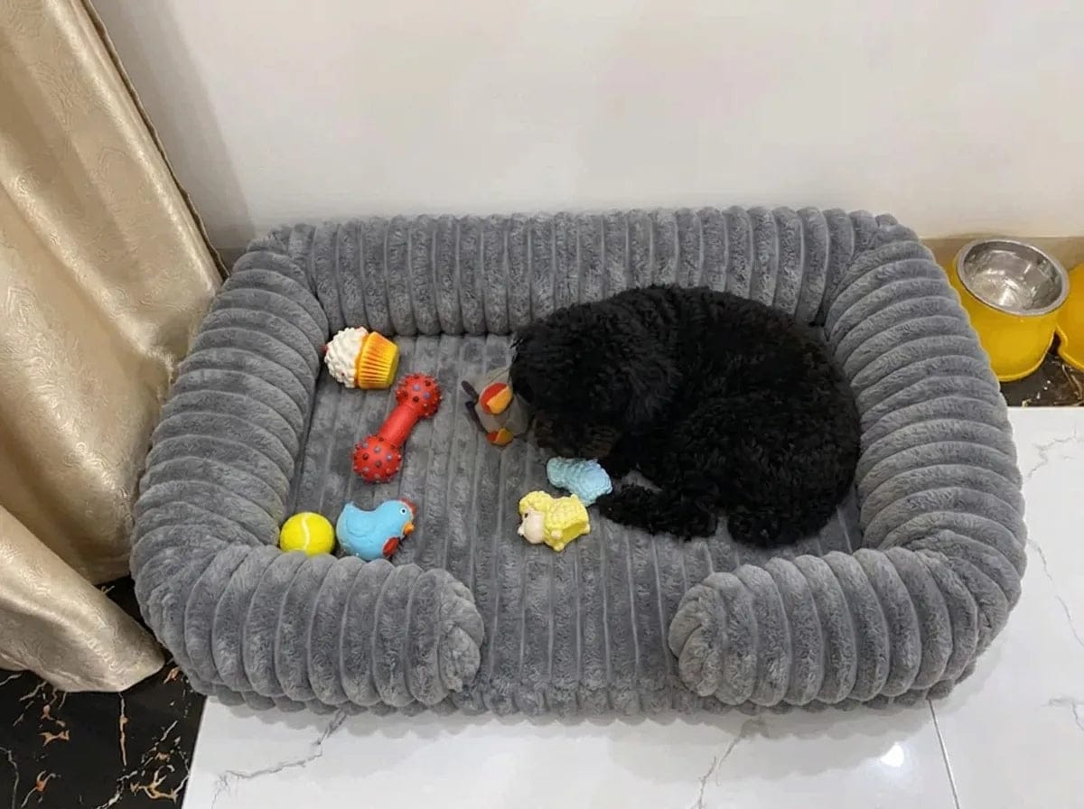 Customer photo review of Panier orthopédique pour chien