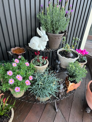 Customer's white rabbit statue nestled among potted flowering plants on a tiered garden stand.