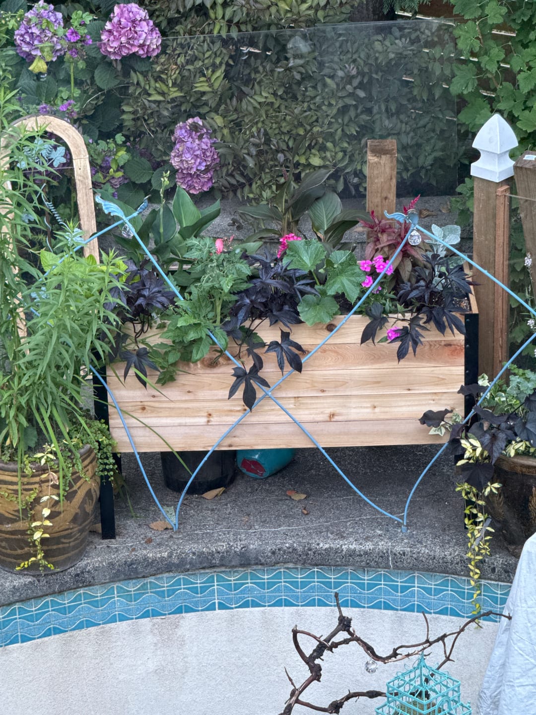 Customer photo review of Anniversary Sale | 18” x 48” Raised Garden Bed
