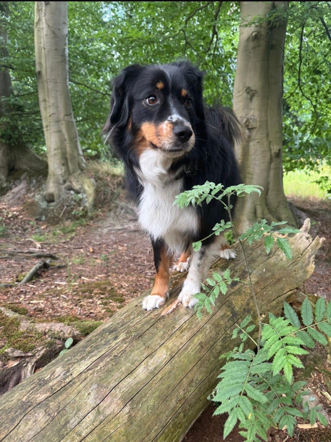 Customer photo review of Dein Lieblingsfoto als Puzzle