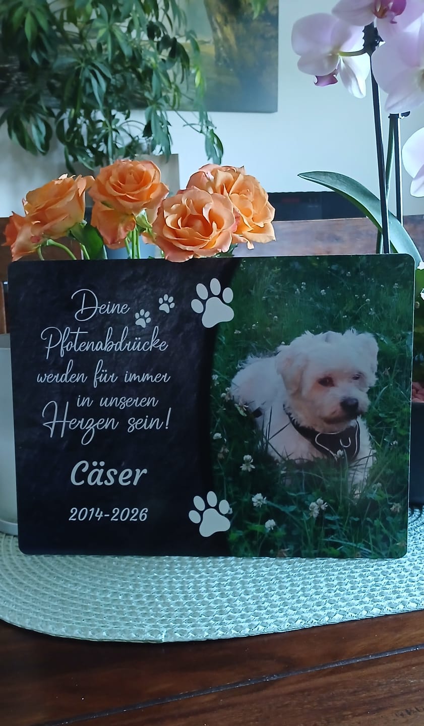 Customer photo review of Hunde Gedenktafel mit Foto & Spruch (UV- & Wetterfest)