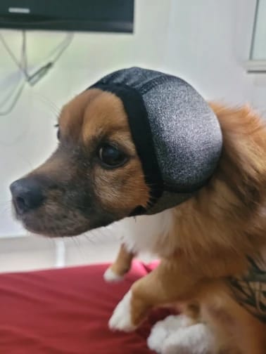 Customer photo review of Fellheimat CalmWrap™ Kopfband