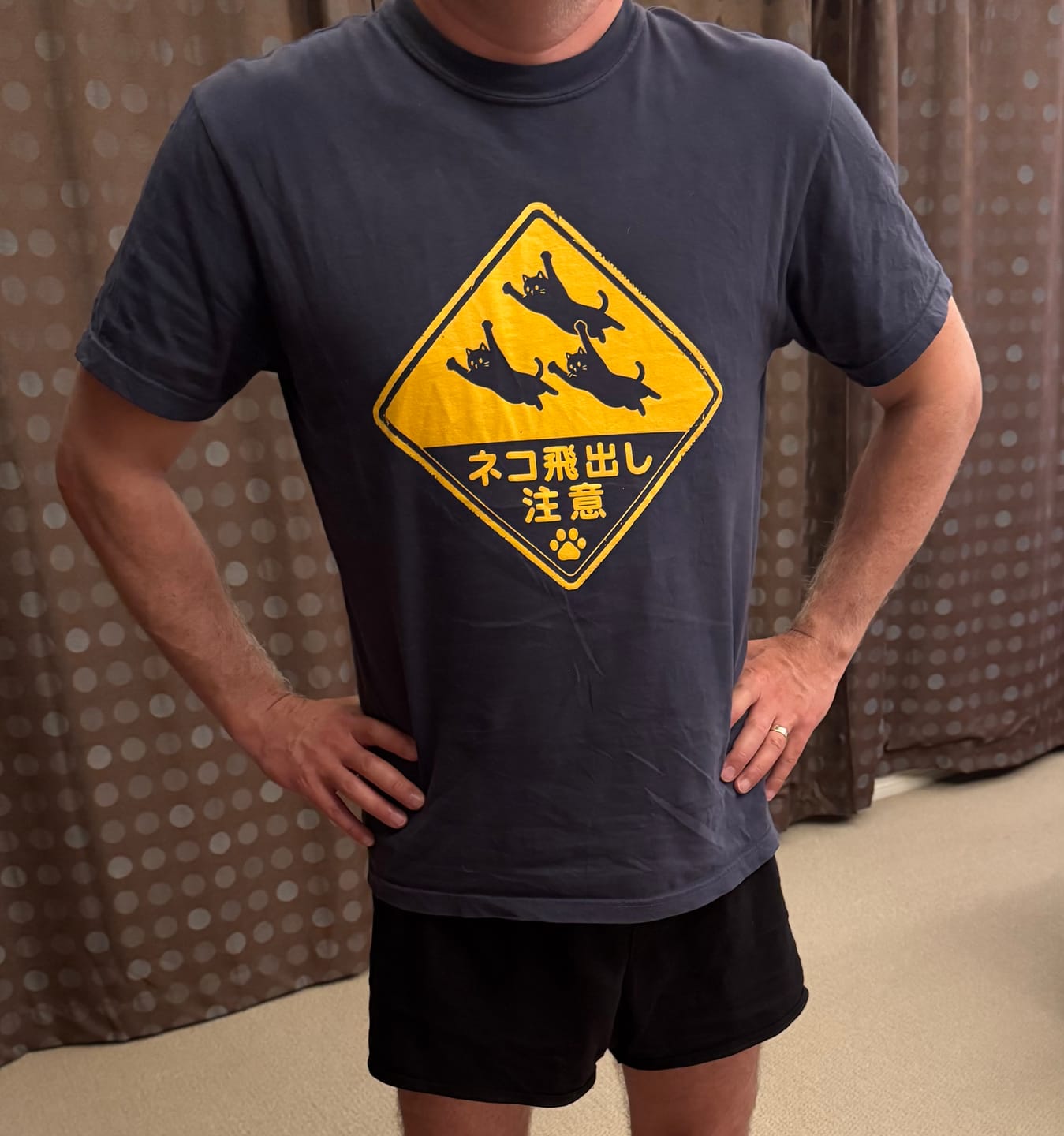 Customer photo review of Beware Flying Cats T-Shirt
