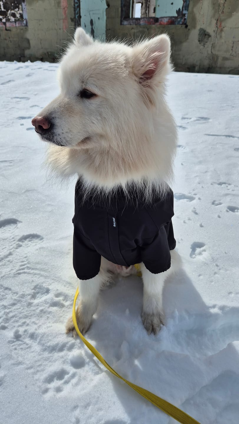 Customer photo review of Chaqueta Impermeable de Lluvia - Negro