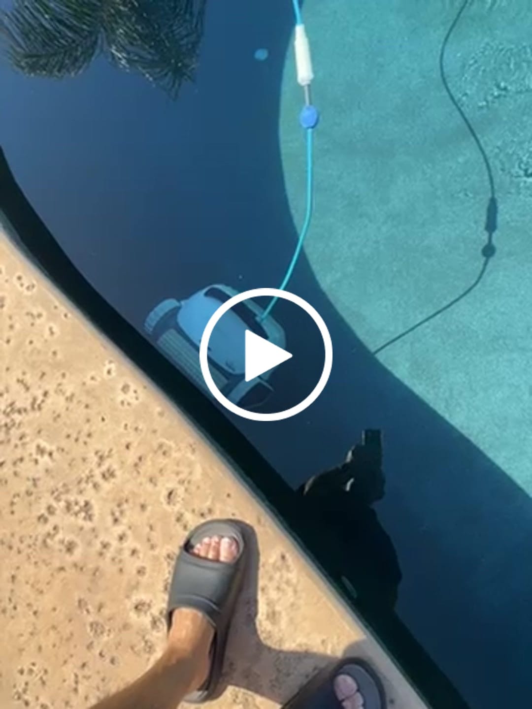 Customer video review of Dolphin Explorer E50