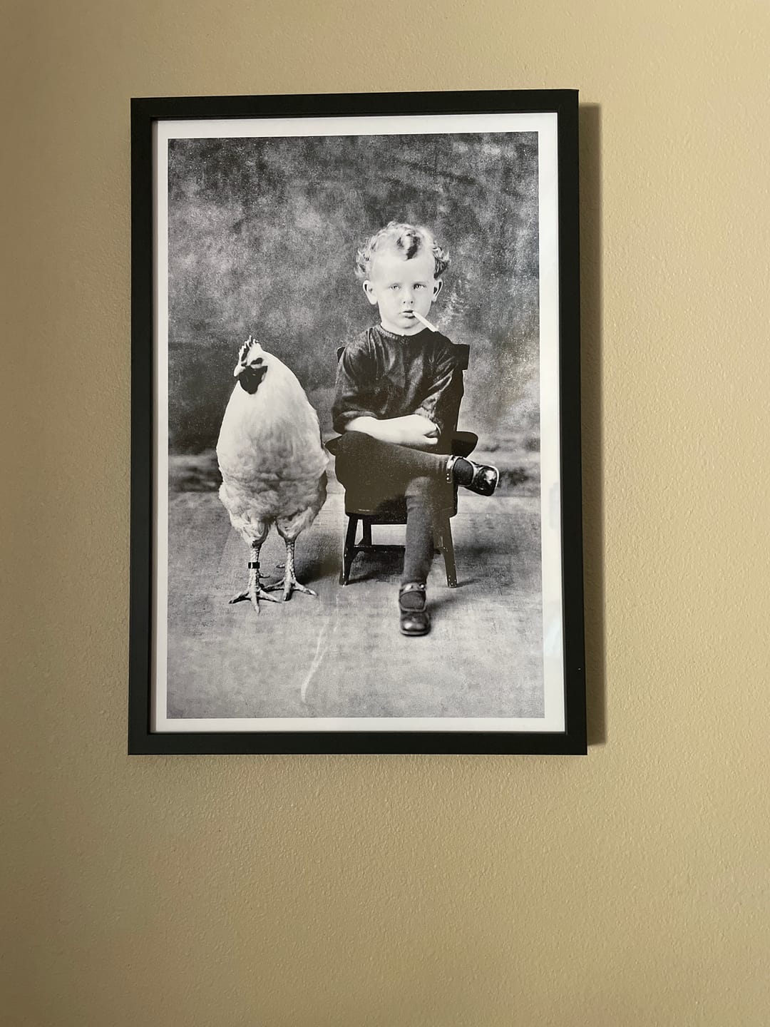 Customer photo review of Boy With Chicken Rooster Smoking Cigarette