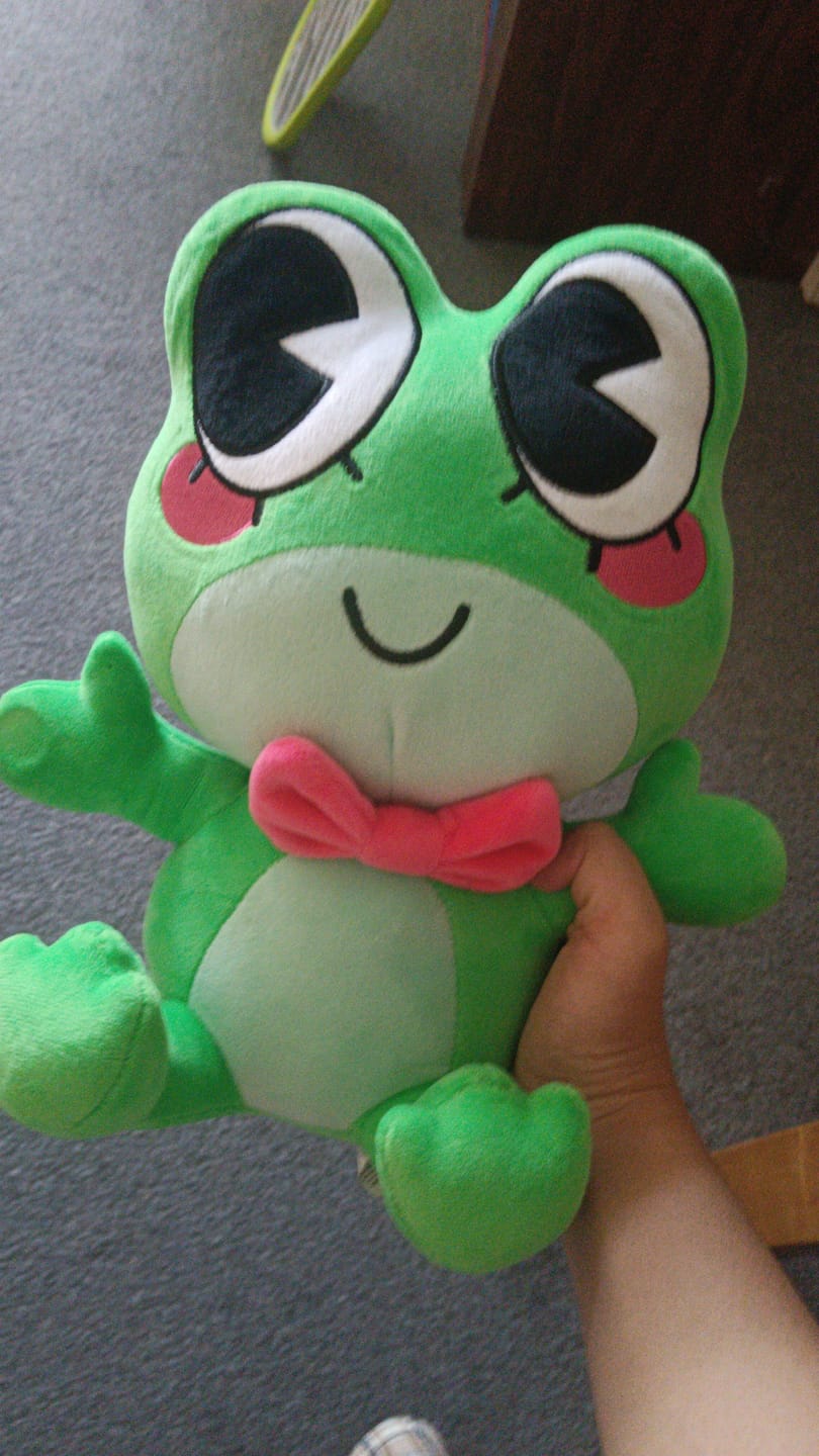 Customer photo review of Ribbit Plush
