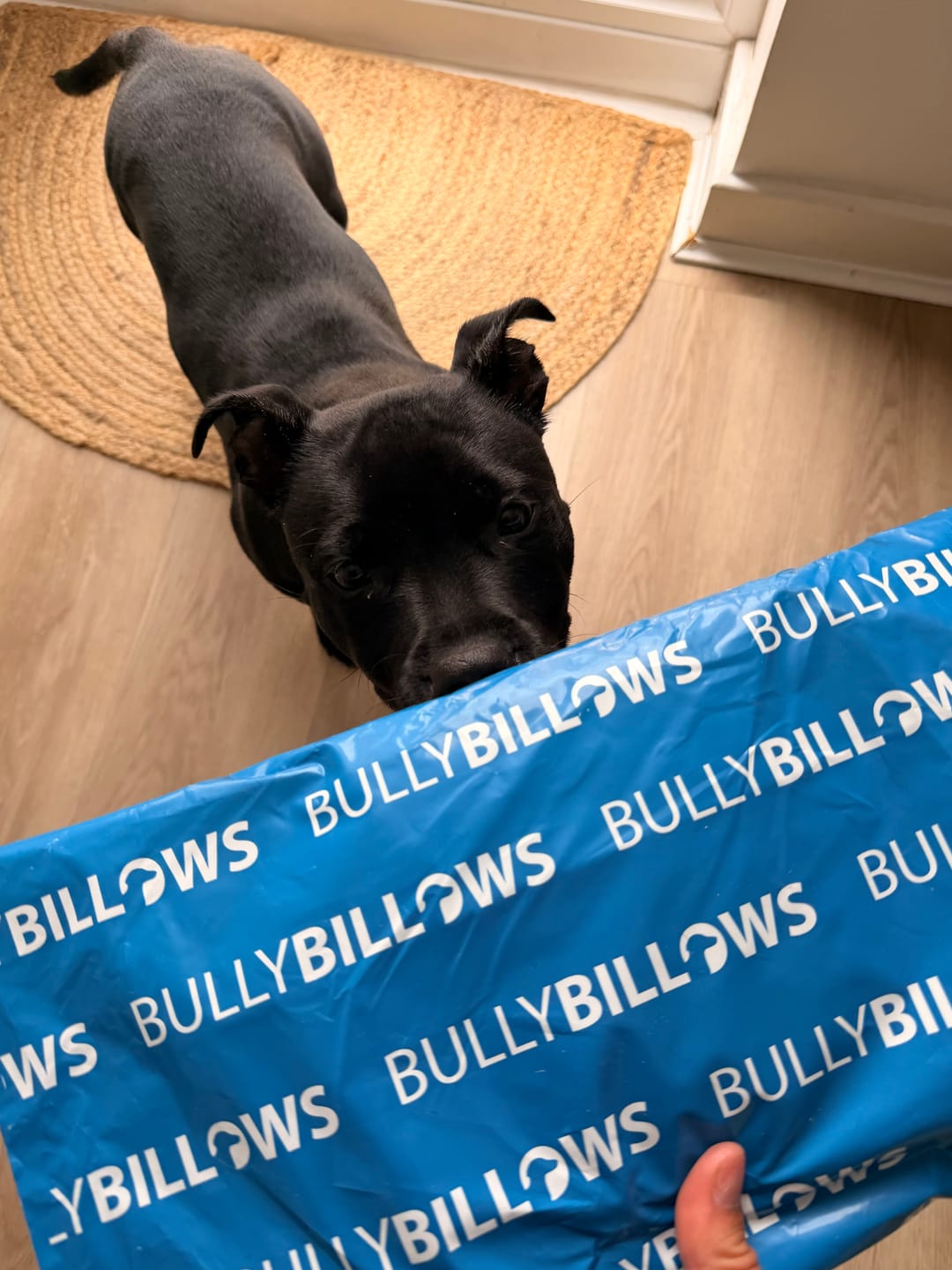 Customer photo review of Dog Training Treats - Boar - 100g
