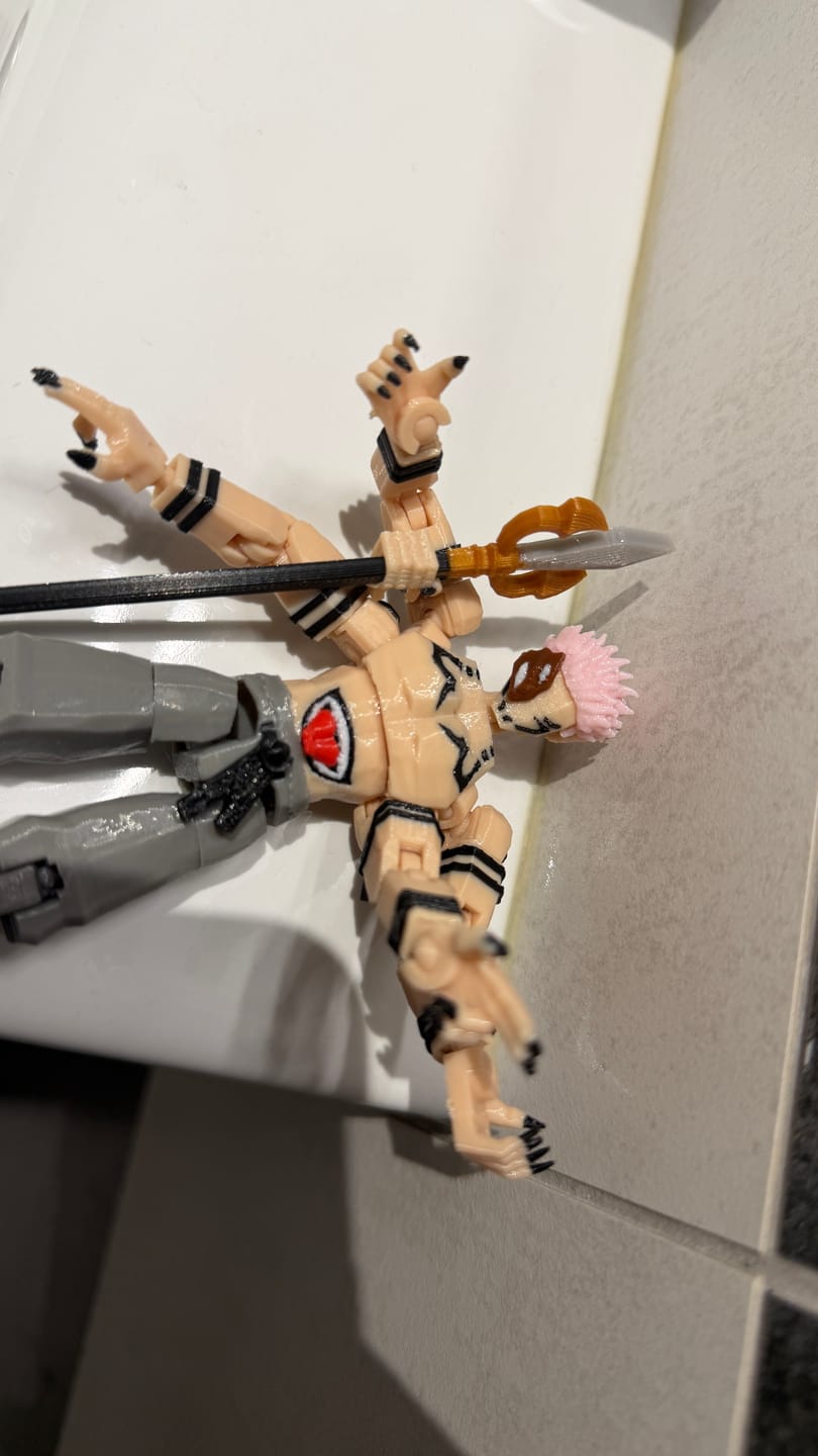 Customer photo review of Heian Era King of Curses T13