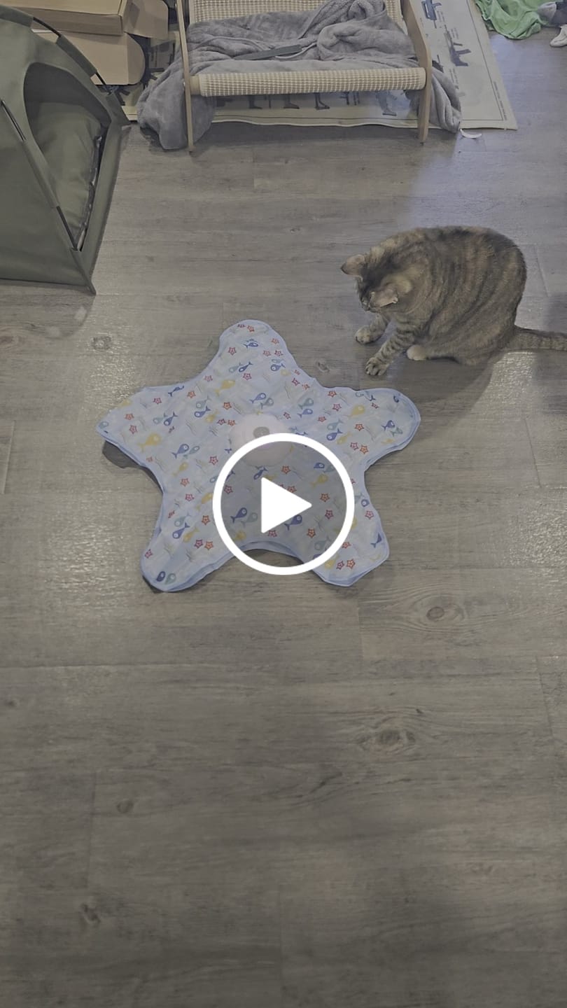 Customer video review of PEEKY TAIL 2.0