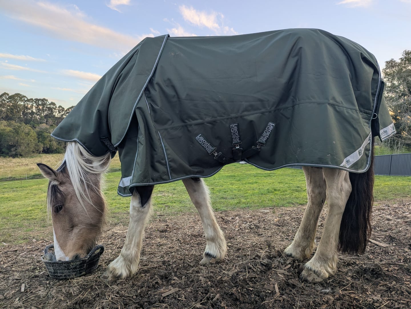 Customer photo review of LE Boxter Turnout 100g