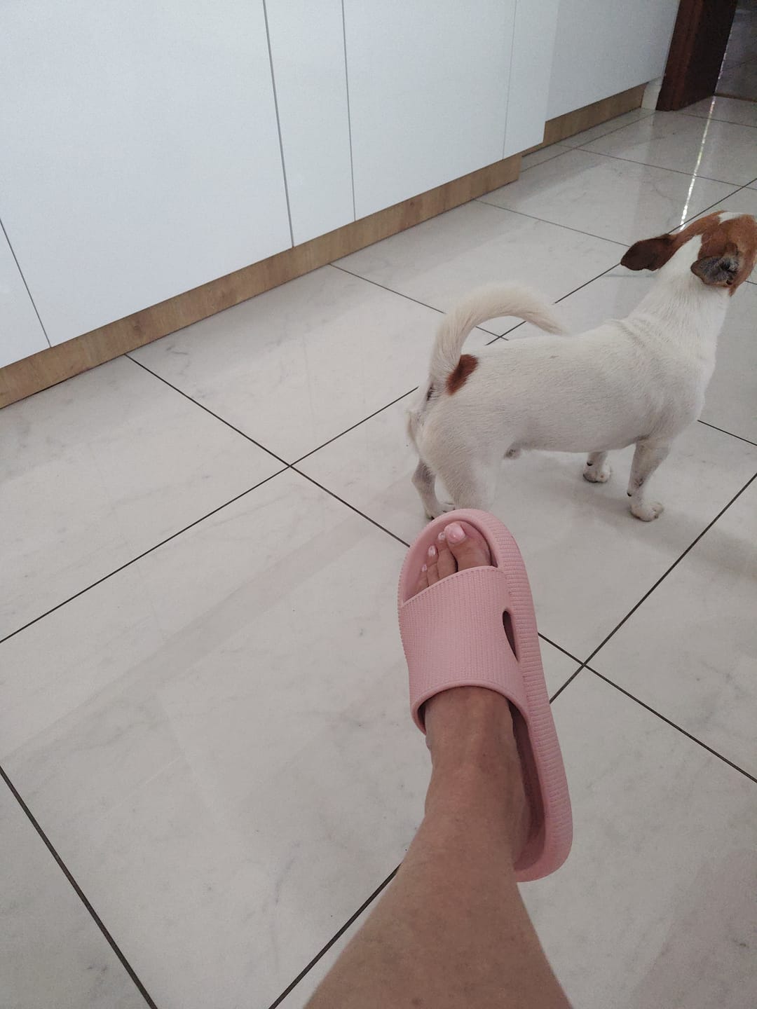 Customer photo review of HappyFlops Original