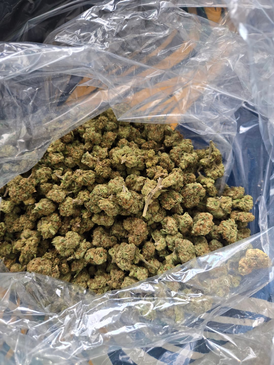 Customer photo review of Blueberry Muffins Minis - Bulk Minis - Indica