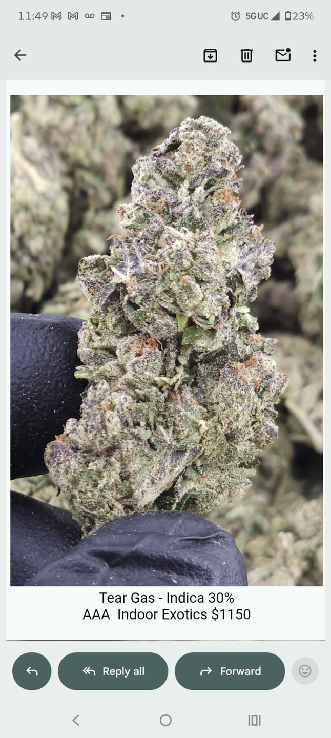 Customer photo review of Snowman - Bulk - Hybrid