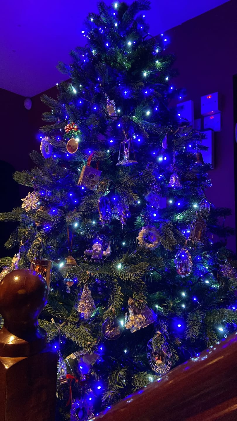 Customer photo review of 2026 Christmas Collectible Tree Decoration