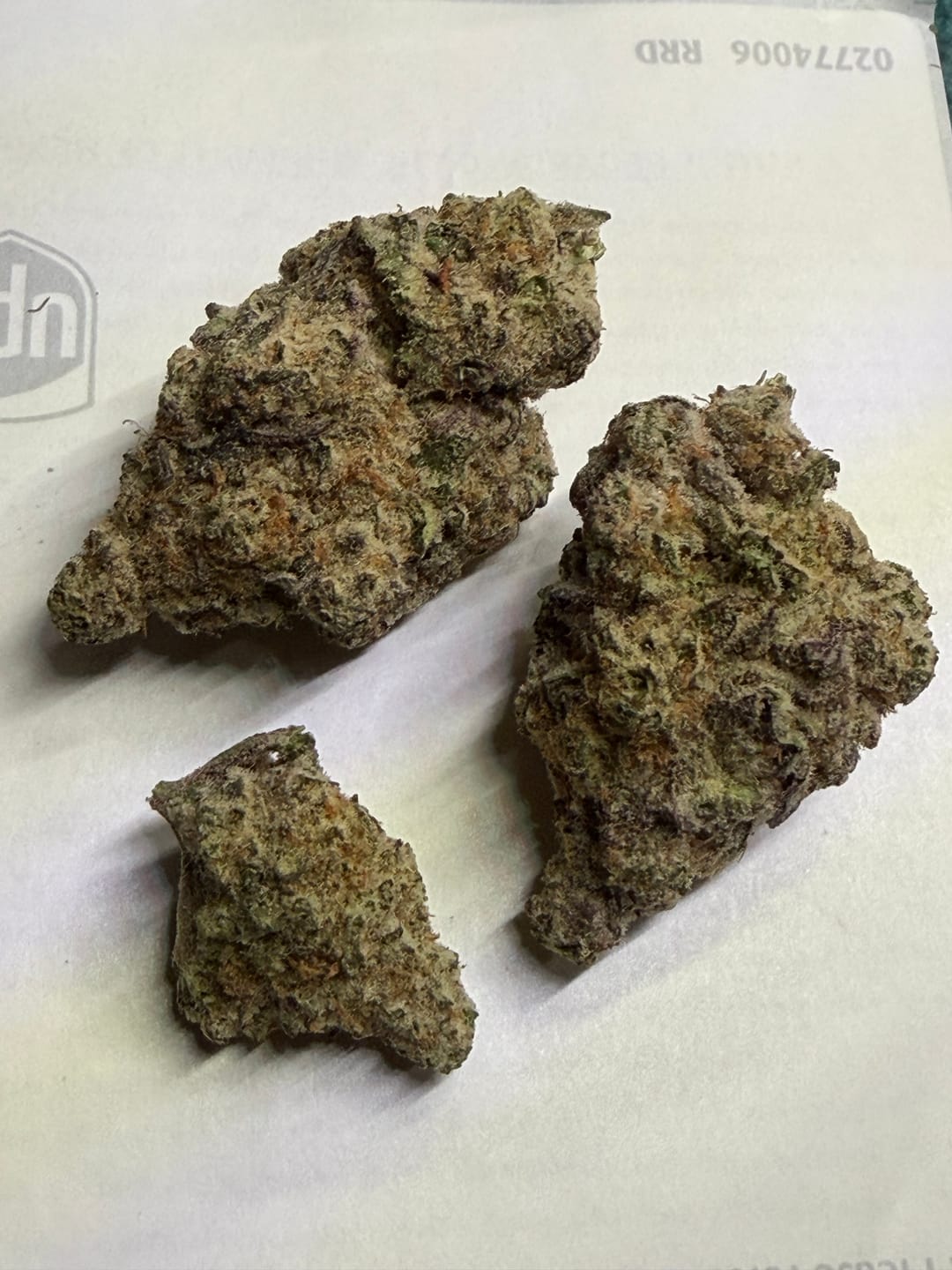Customer photo review of Purple Haze