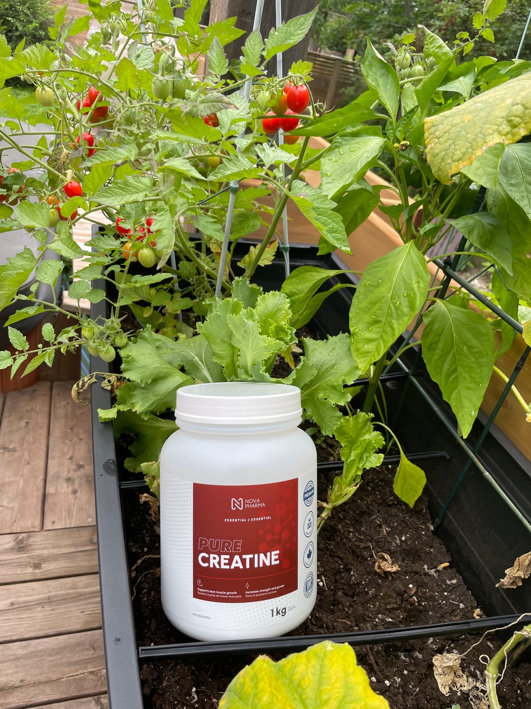 Customer photo review of Creatine Monohydrate 1 kg | 200 servings