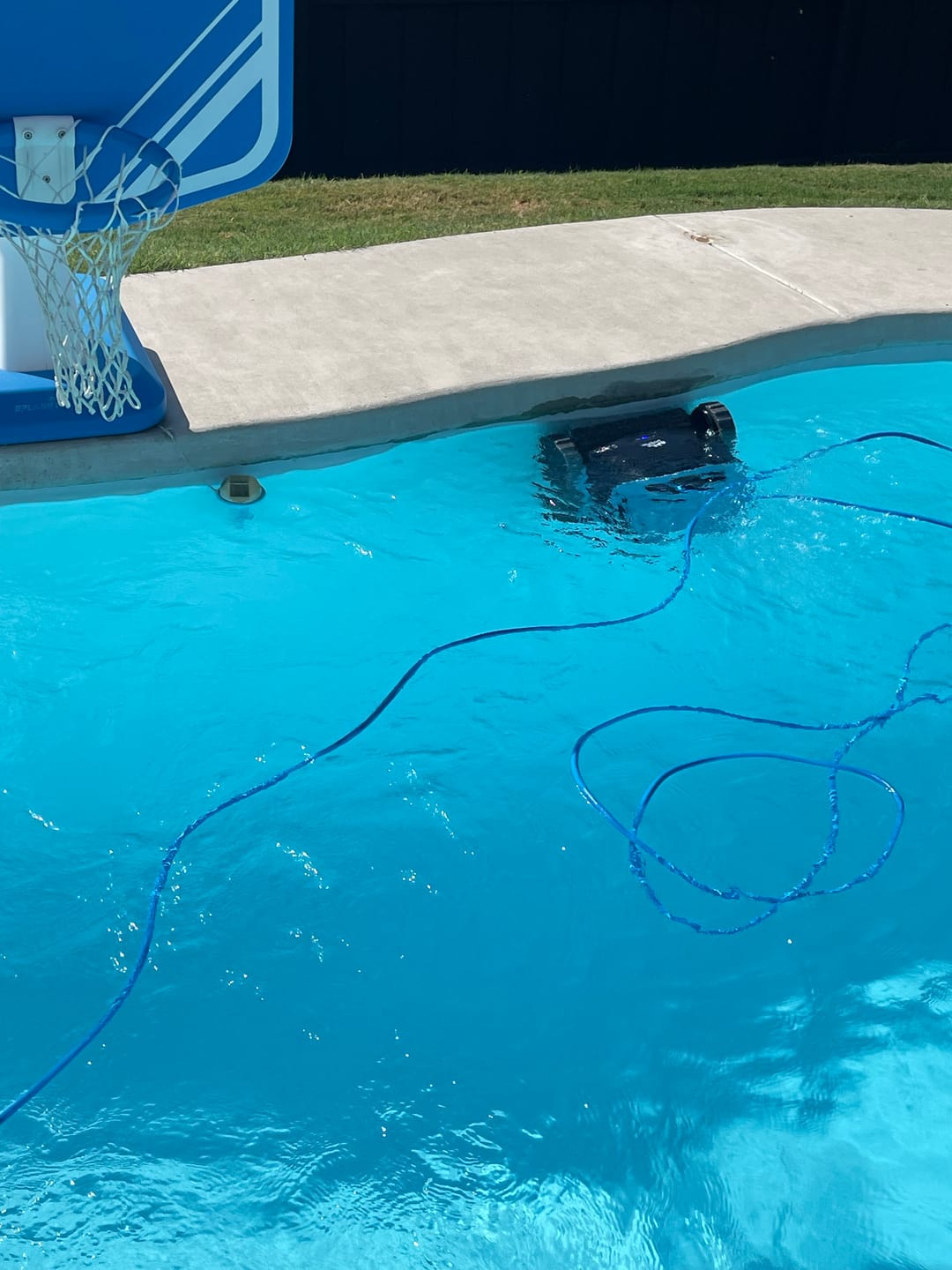 Customer photo review of Dolphin S2000 Corded Robotic Pool Vacuum Maytronics