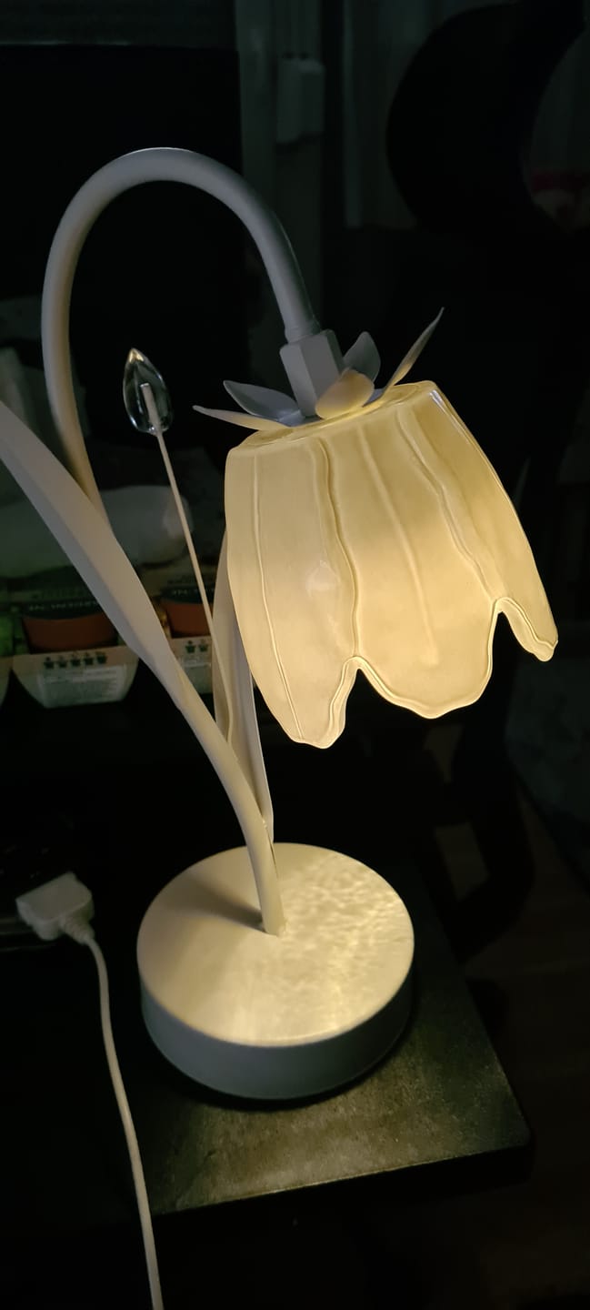 Customer photo review of LED Tischlampe Blume – Florale Tischleuchte mit einer Blüte in Creme