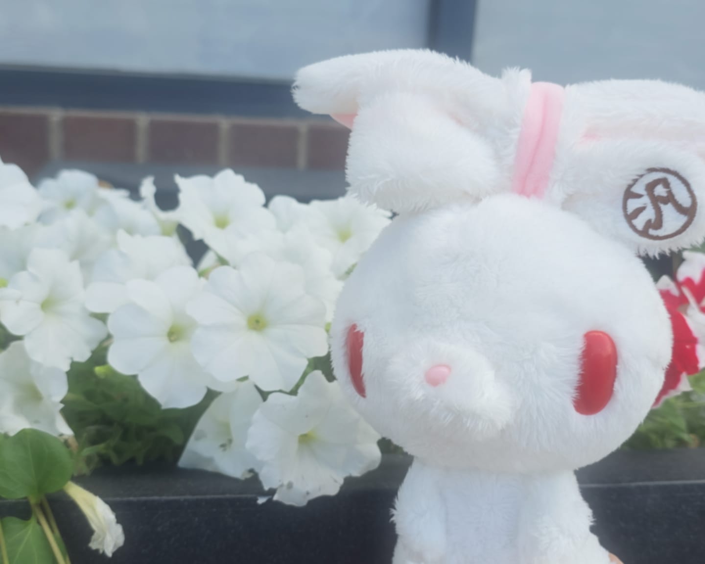 Customer photo review of All Purpose Bunny Palm-Sized Sitting Plush (White)