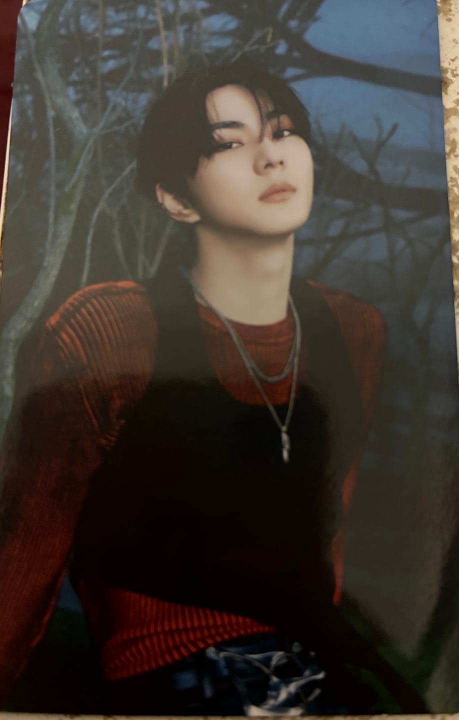 Customer photo review of K-POP BLIND RANDOM PHOTOCARD