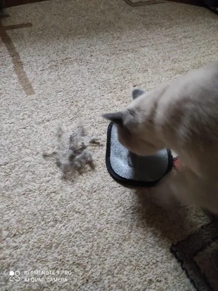Customer photo review of Pet Hair Removal Glove