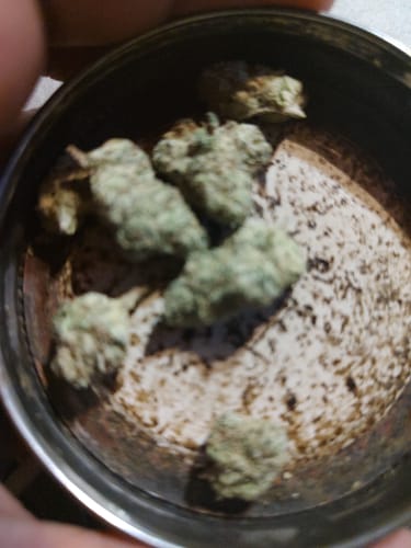 Biscotti Cake - 28 Grams - Hybrid photo review