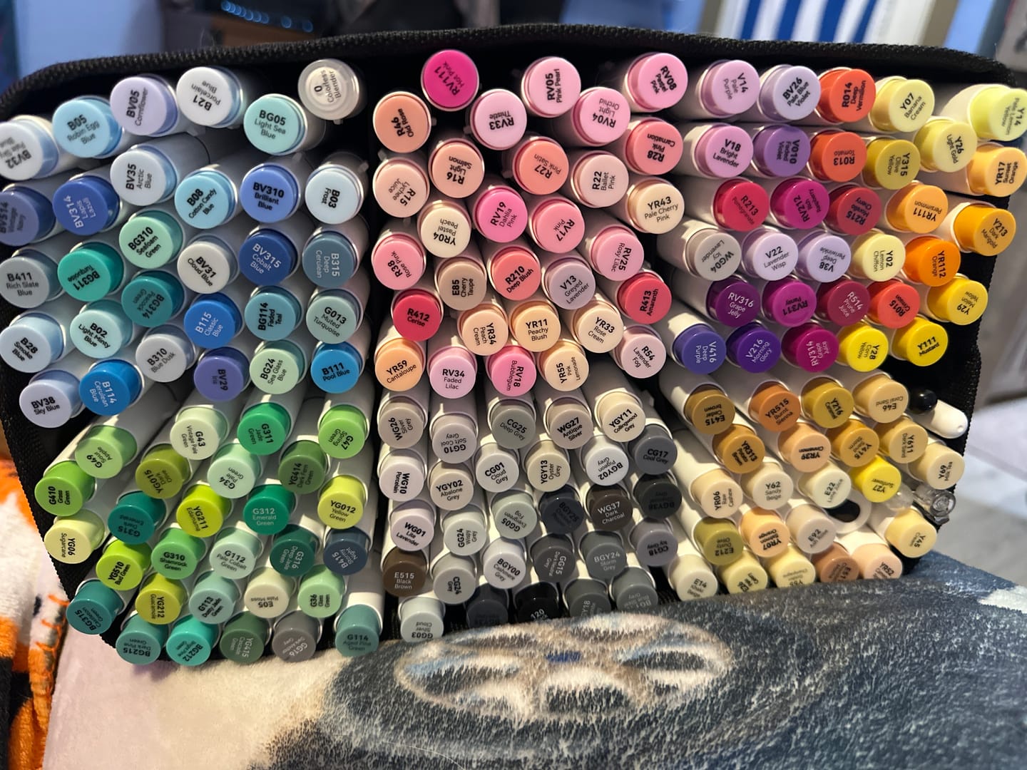 Customer photo review of Ohuhu Honolulu 168 Colors Dual Tips Alcohol Art Markers (New Color Codes)