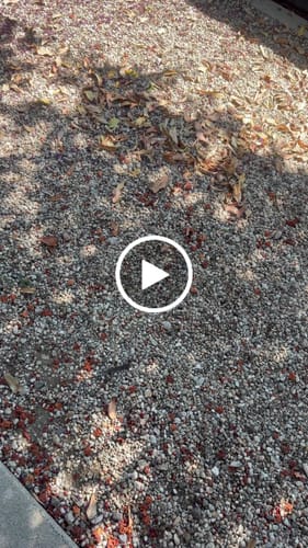 Customer video review of Turbo Jet DB™ v3.0