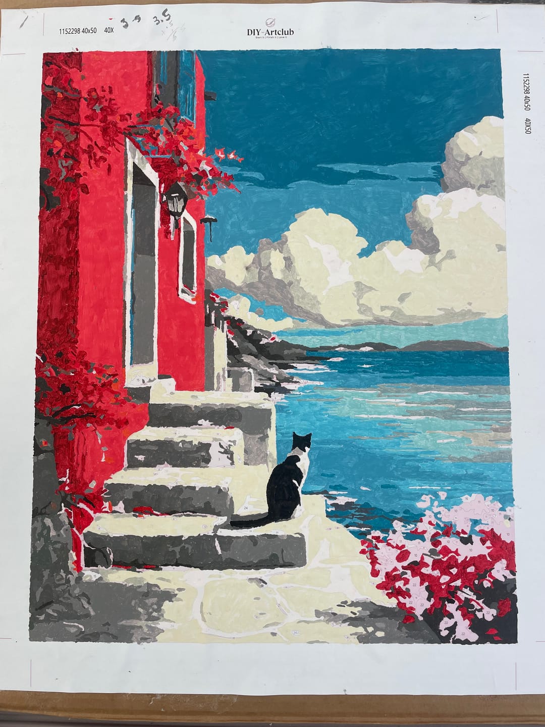 Customer photo review of The red house | Paint by Number
