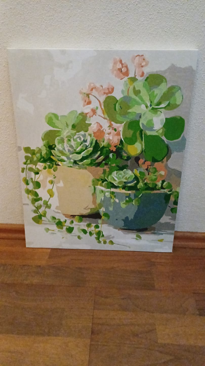 Customer photo review of Malen nach Zahlen - Frühlings-Sukkulenten
