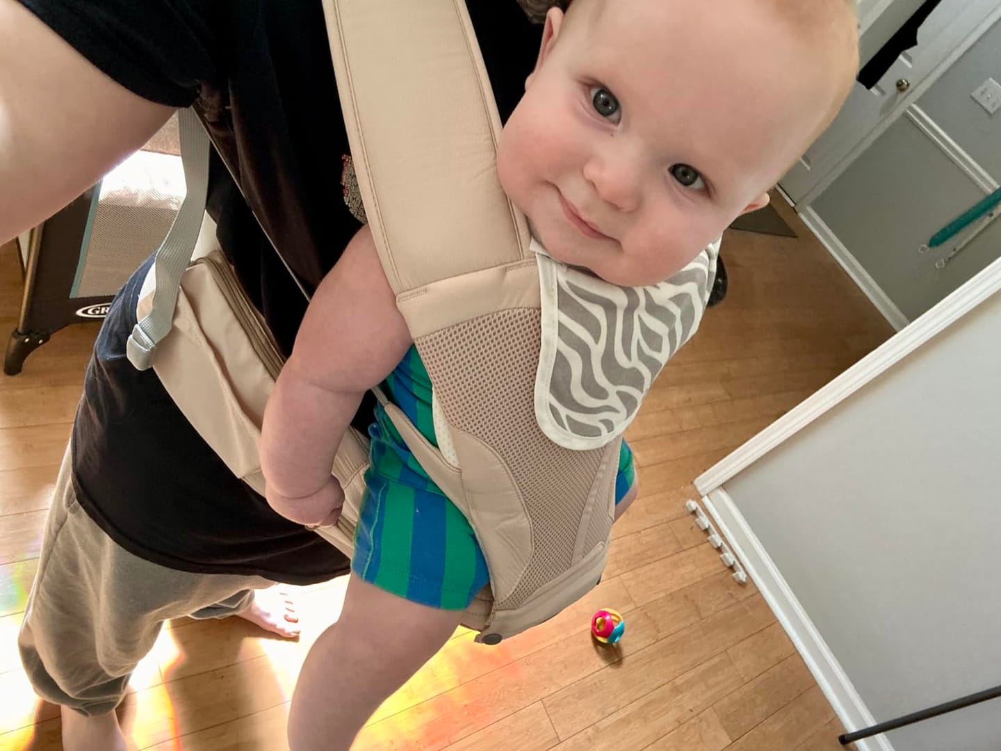 Customer photo review of Ashton ComfortCarry™ Baby Carrier