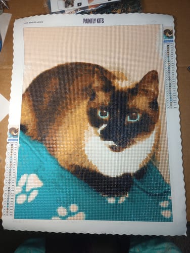 Customer photo review of Custom AI Pet Portrait Diamond Painting Kit