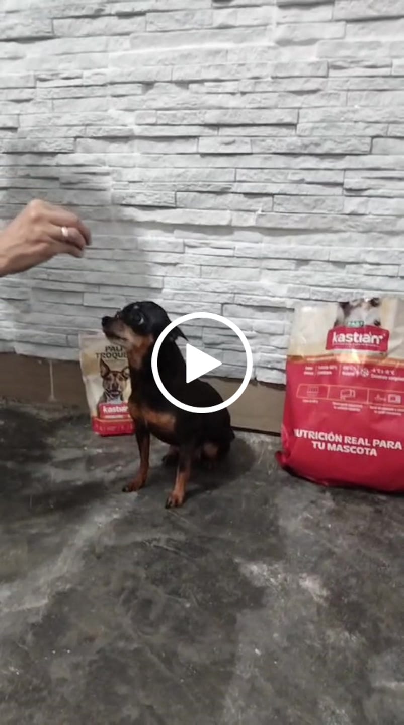 Customer video review of Delilonjas carne, frutas y verduras 4kg
