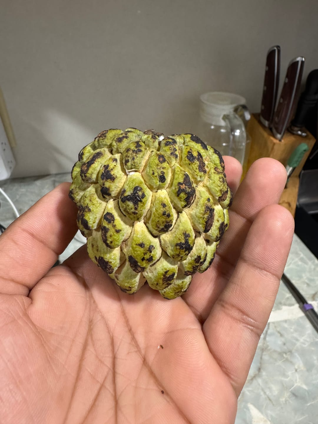 Customer photo review of Sugar Apple (Sweetsop)