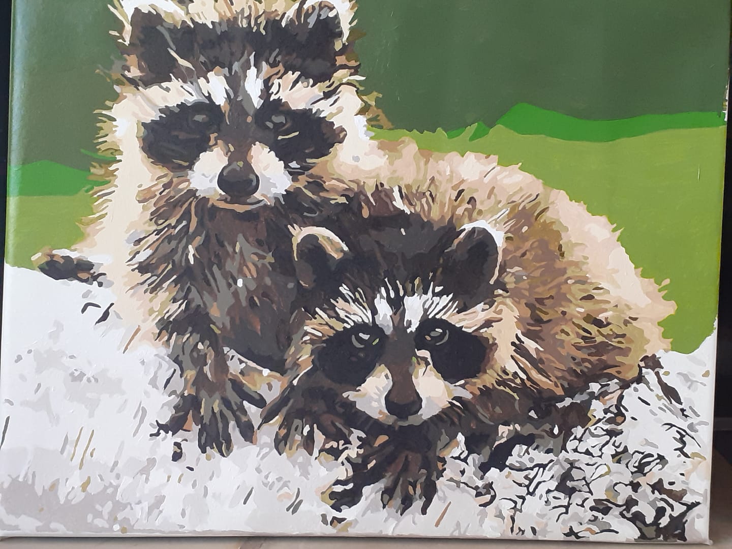 Customer photo review of Raccoon Diy Paint By Numbers Kits WM-312