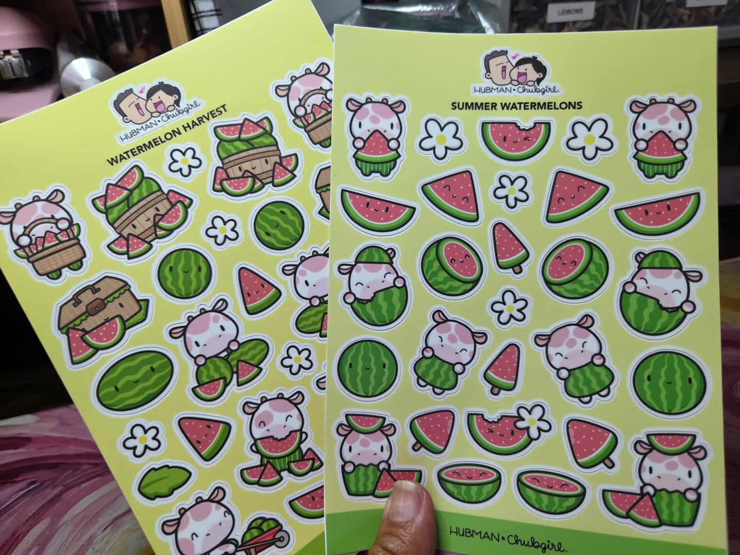Customer photo review of Summer Watermelon Sticker Set