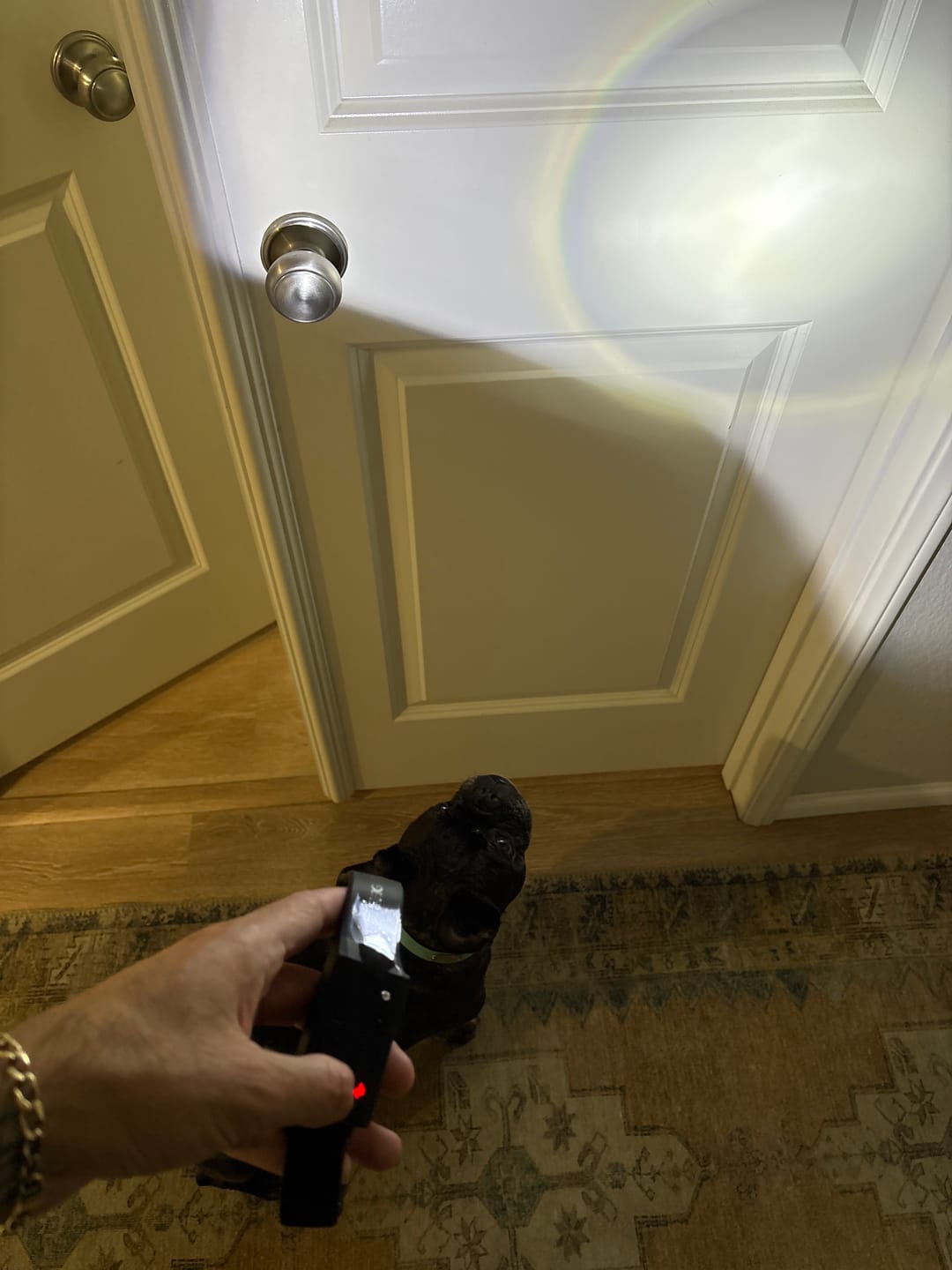 Customer photo review of 80Eighty® HeadLamp