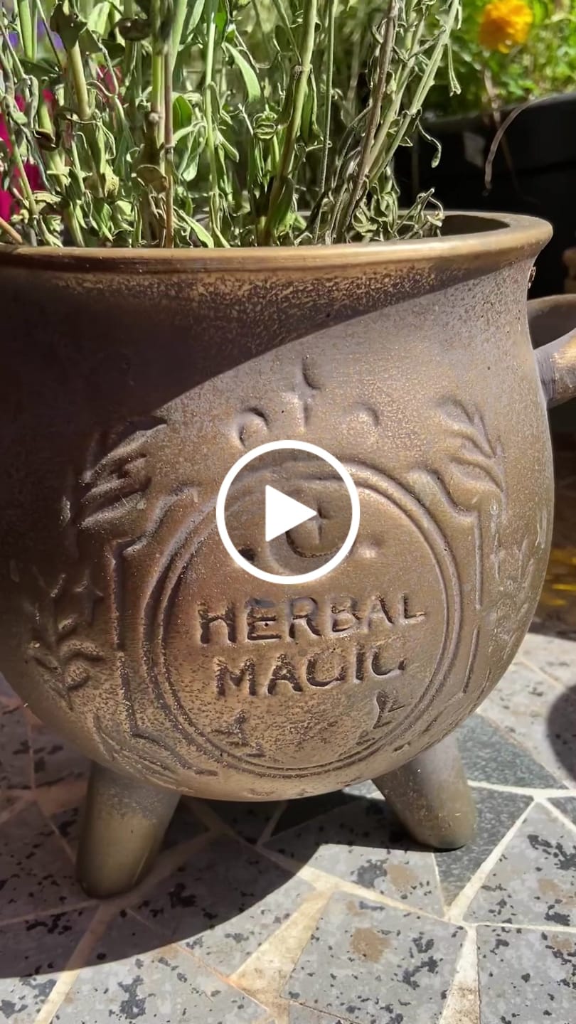 Customer video review of Herbal Magic Kessel-Blumentopf – Terrakotta Pflanzenkessel in Bronzeoptik
