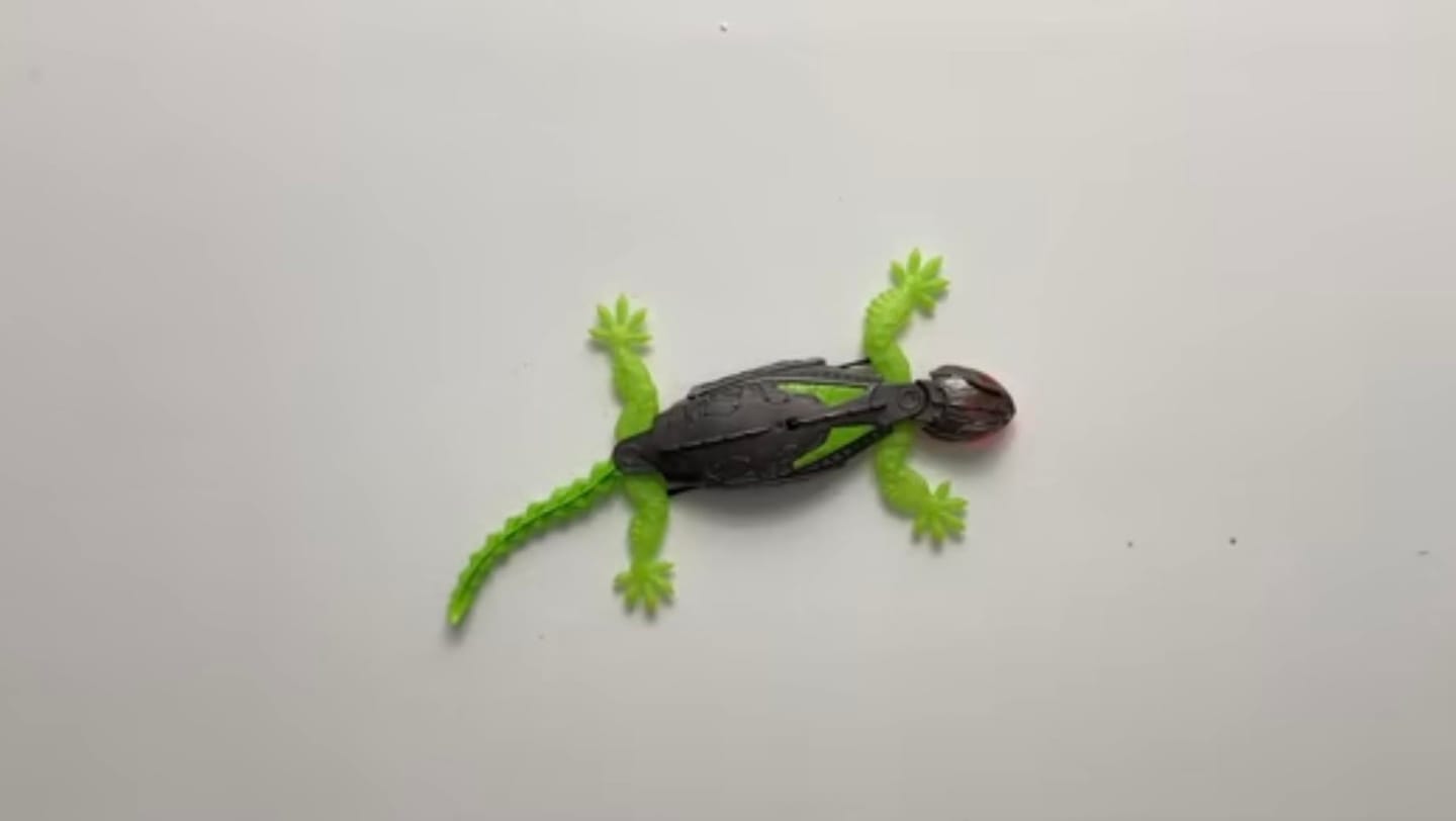 Customer photo review of ChamiCatch™ Lagarto Trepador para Gatos