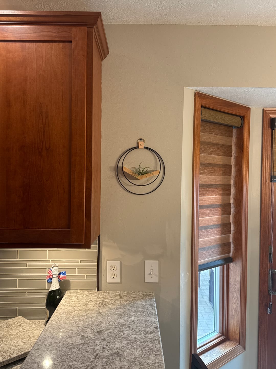 Customer photo review of Air Plant V-Hanger Duo