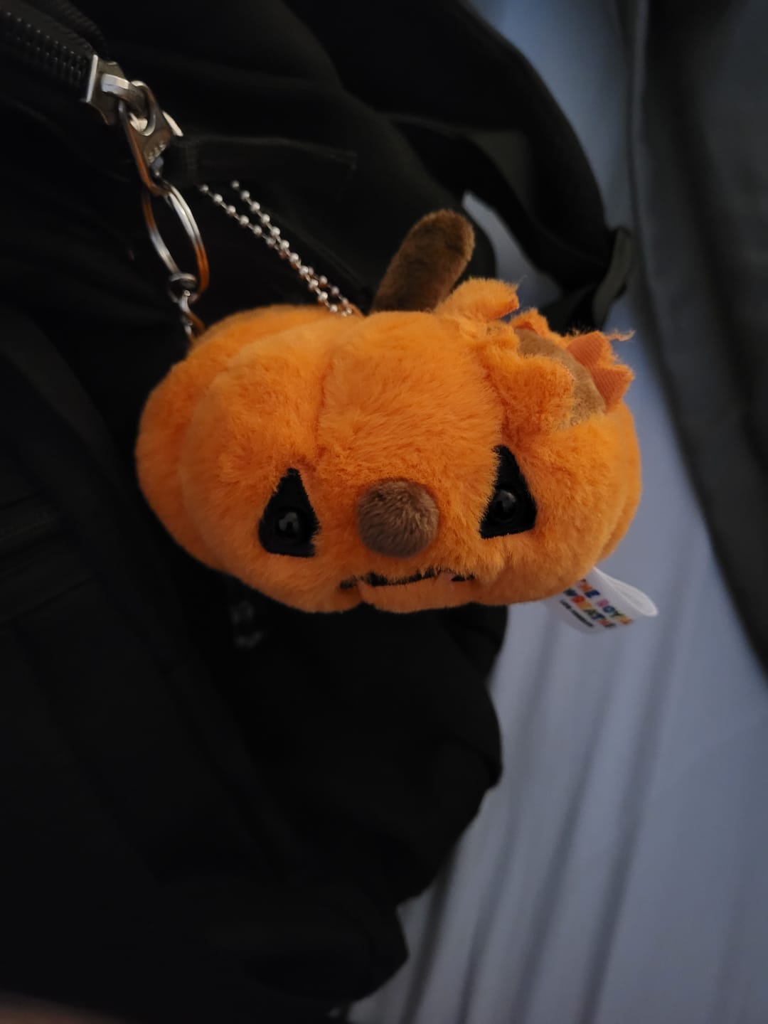 Customer photo review of Forgotten Jack O' Lantern